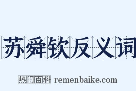 苏舜钦反义词是什么意思的图片